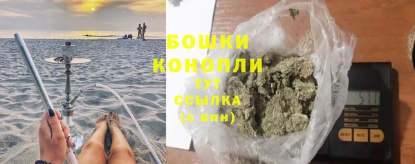 прущая мука Бородино